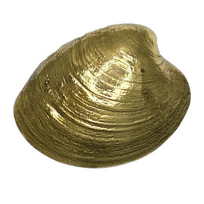 Heurtoir de porte Quahog