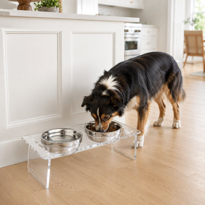 Bols pour animaux transparents en acrylique transparent avec 2 bols (2 en acier inoxydable), 2 options de hauteur Support surélevé sans assemblage avec base antidérapante pour petits chiens, chats et chiens de taille moyenne, 15,8 x 7,9 x 5,5 po, transparent