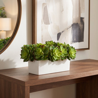 Echeveria Arrangement in Ceramic Planter