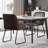 Braiden Upholstered Dining Chairs With Arm-2143936399