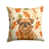 Belge Brussels Griffon