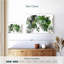 Plante grasse Harnek-107889056