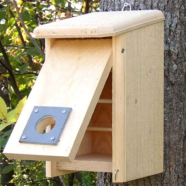 Maison d'oiseaux convertible Shaniquah / perchoir d'hiver