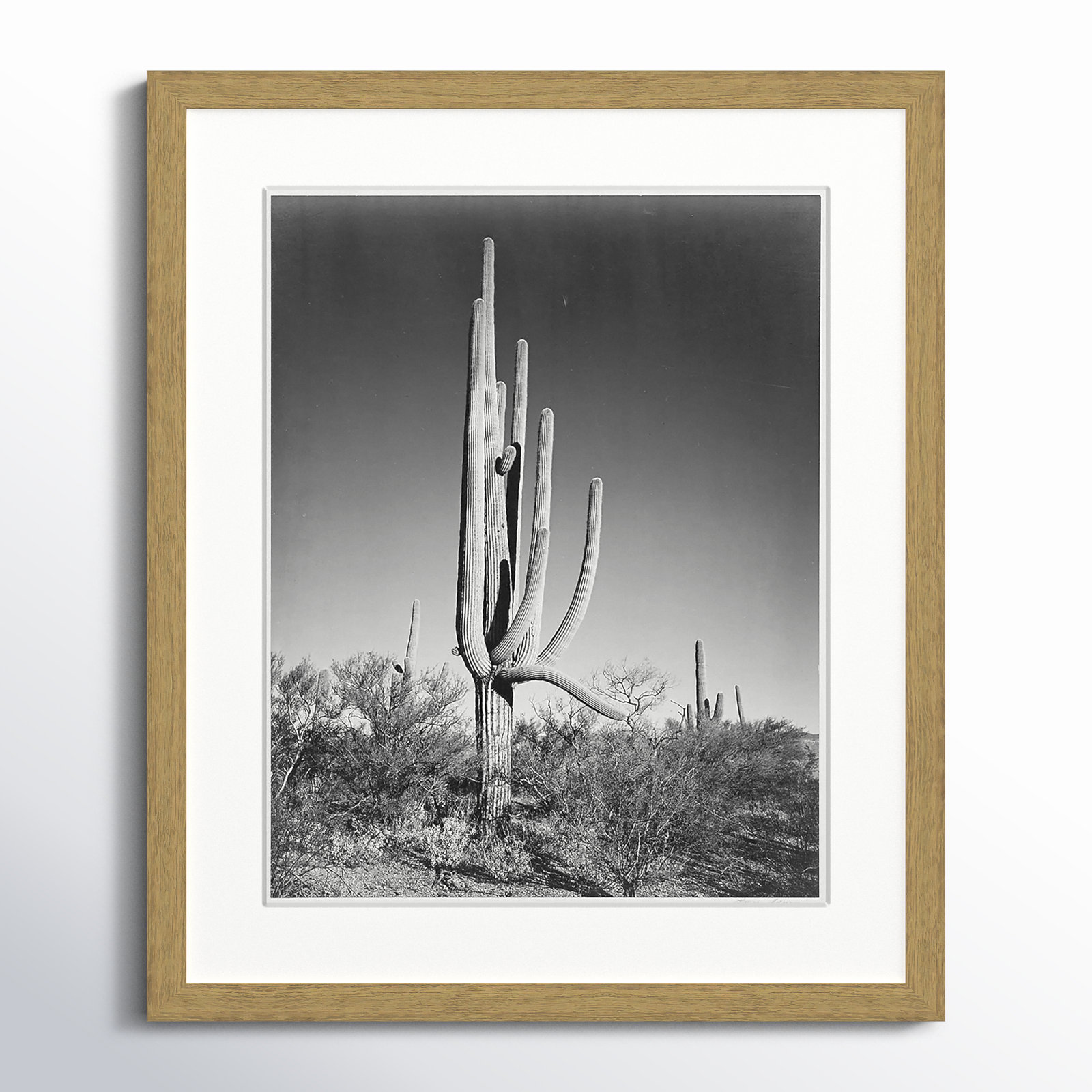 Saguaro National Monument Print by Ansel Adams, 19" H x 16" W x 0.75" D, Natural