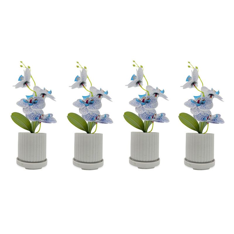 Nataliee Hydrangea Arrangement in Vase