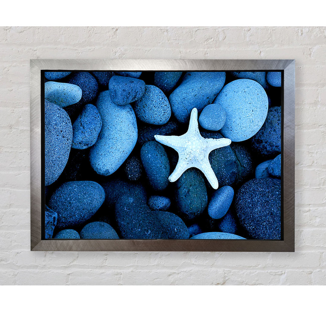 Star Fish Rocks - Druck