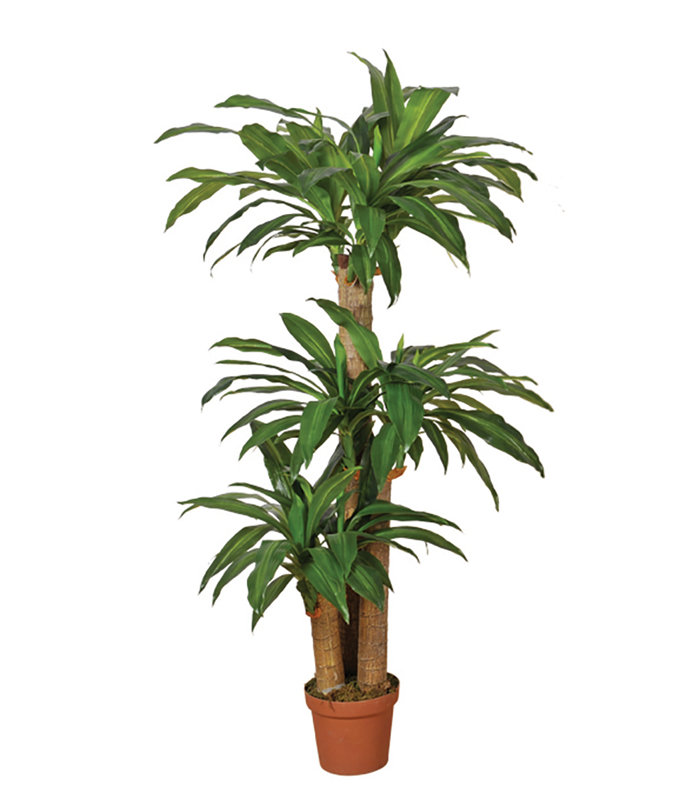 145cm Faux Dracaena Plant in Pot
