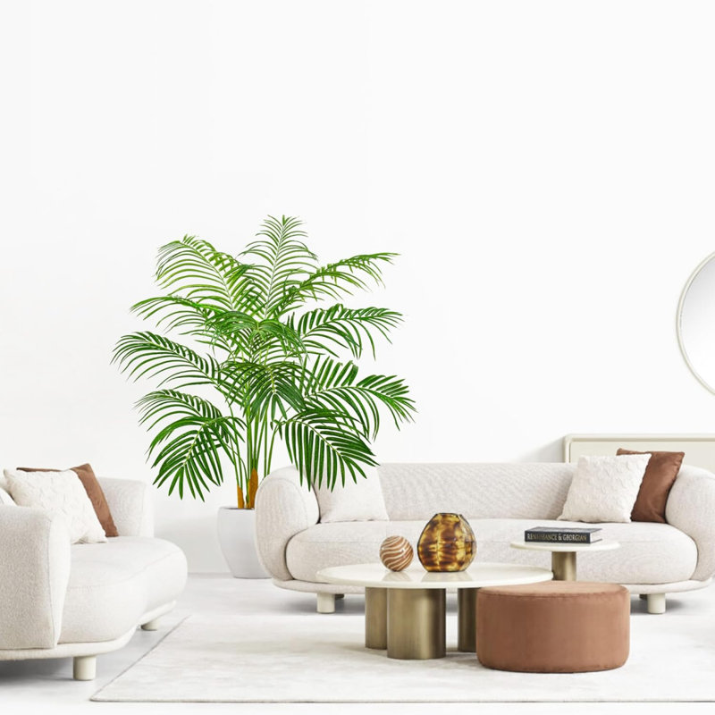Palm Tree With 13 Trunks And Real Bark Design