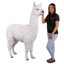 Statue de jardin alpaga Alpacalypse