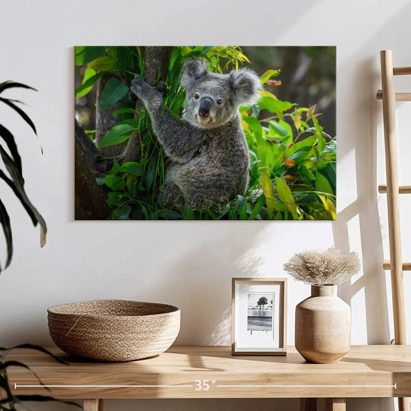 Cute Koala, 16" H x 24" W