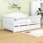 Lit de jour simple en bois avec couchette-527489354