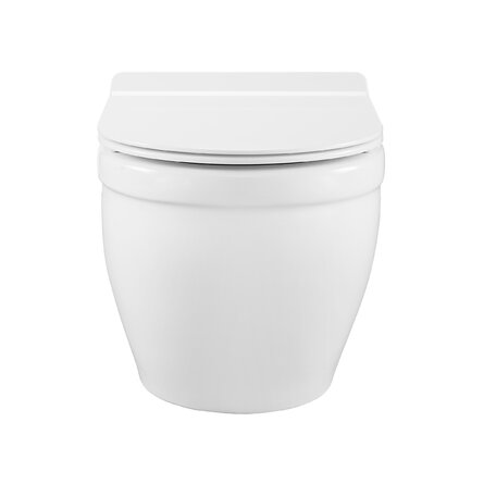 Ivy Dual-Flush Elongated Wall-Mount Toilet (Seat Included)