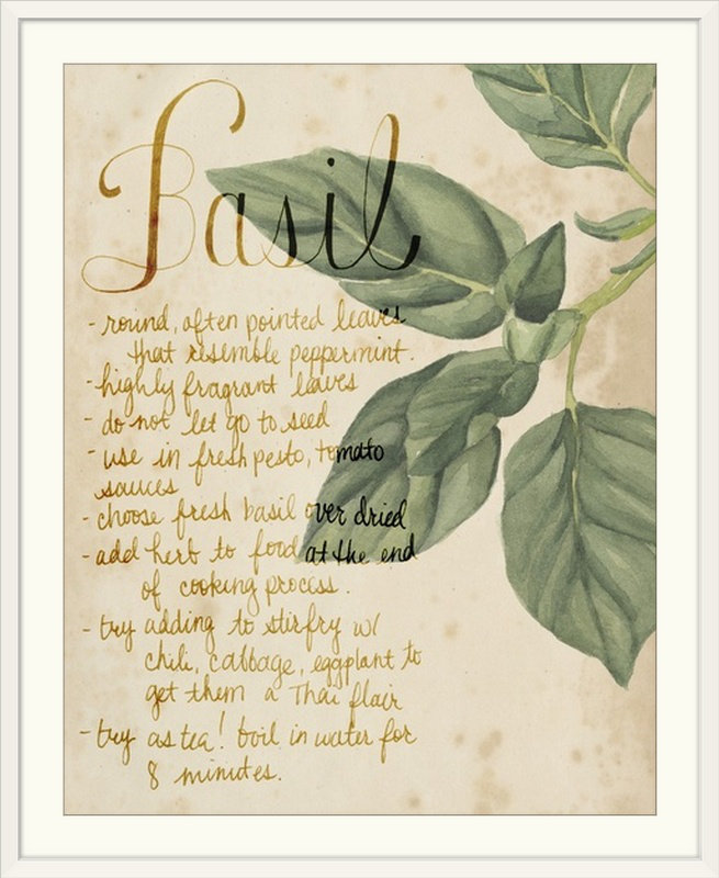 Herb Study " Herb Study I " by Grace Popp August Grove® 