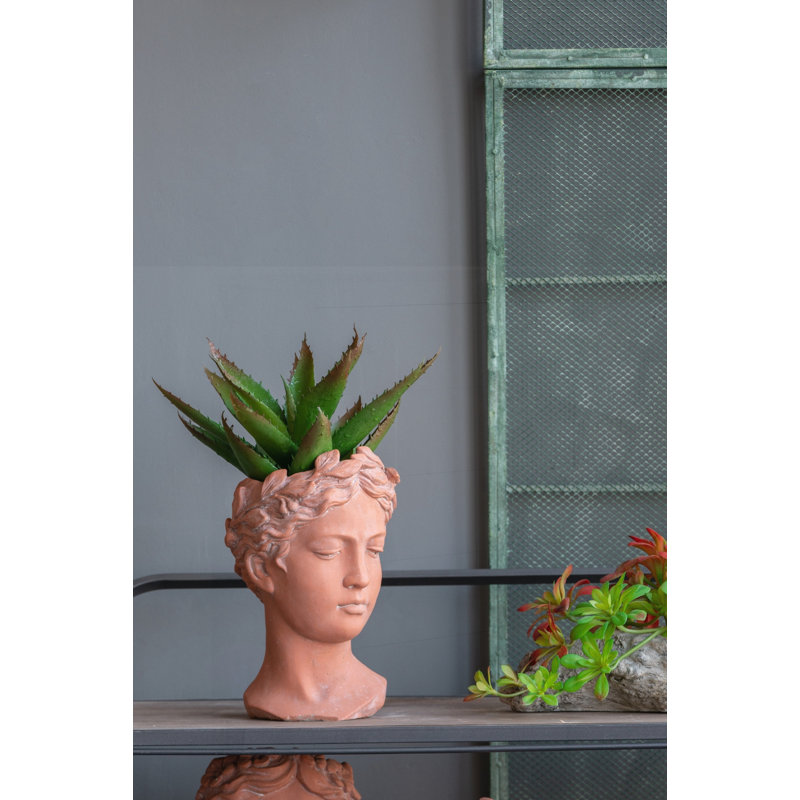 Antique-Inspired D6x9 Inch Visage Head Bust Planter, Perfect for Indoor and Outdoor Decor