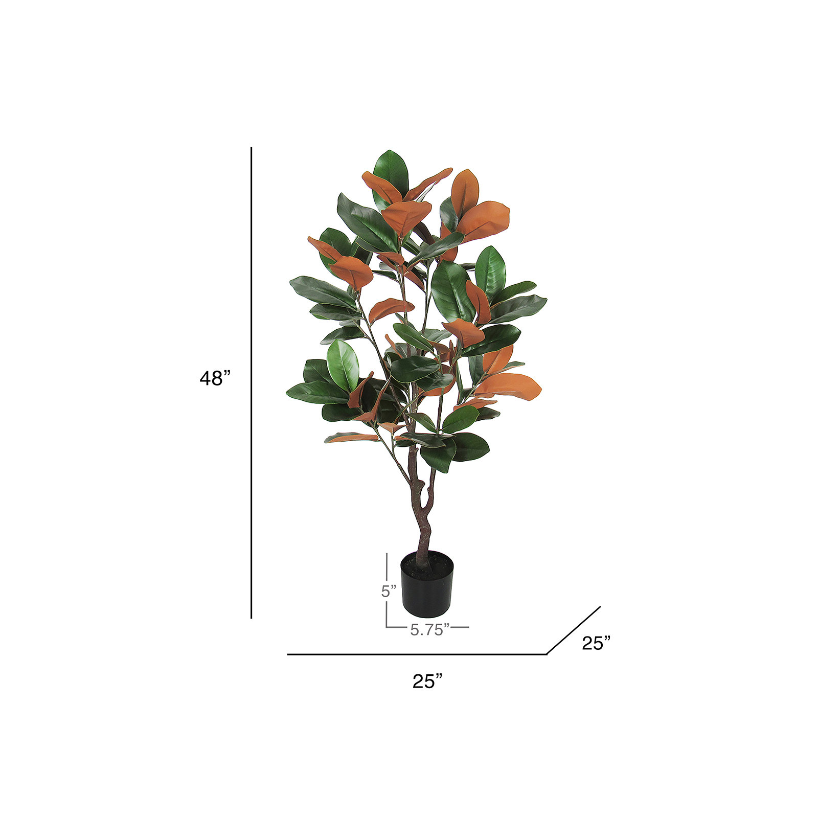 Faux Magnolia Plant in Pot, 48" H x 25" W x 25" D
