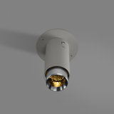 1 - Light Flush Mount