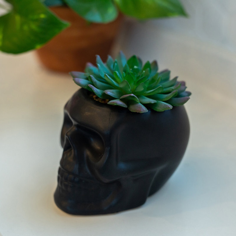 Plante succulent de bureau en pot, Noir mat