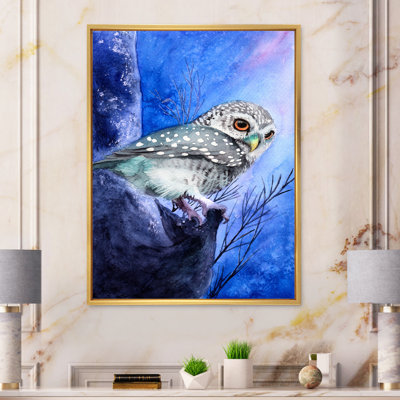 " Night Scene With A Spotted Owl "