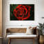 Élégante rose rouge rosée-107693585
