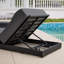 Garden Chair with Cushion-222531842