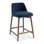 Tonia Bar/Counter Stool - Texan Burnish Guardian Seat - Domasco Frame