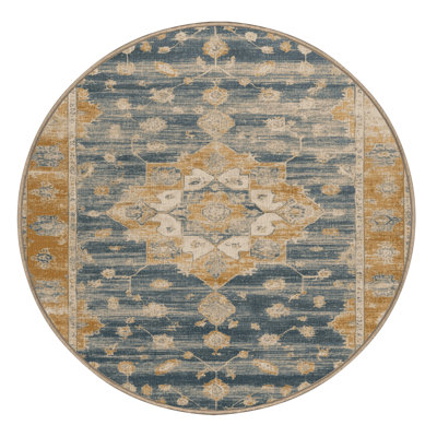 Machine Washable Overdyed Brown Area Rug
