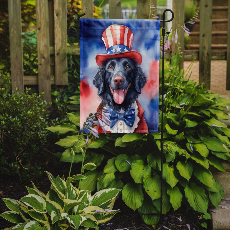 Drapeau patriotique du jardin américain, Retriever à poil frisé