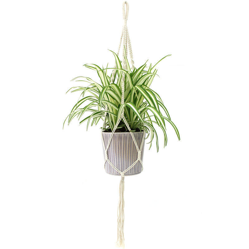 Support pour plante tressée en macramé, H 39 po x l 1,5 po x P 1,5 po
