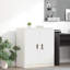 Storage Cabinet-1046416338