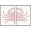 Crabe tacheté S / 2