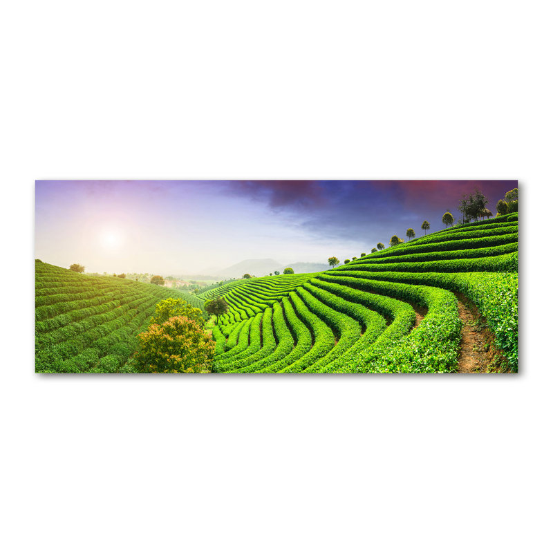 Tea Plantation - No Frame Print on Canvas