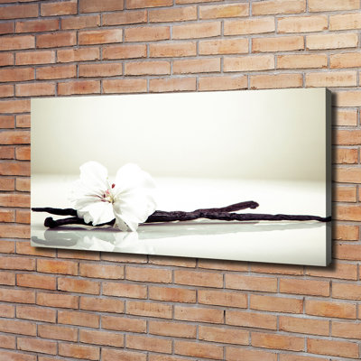 Vanilla Stick - Wrapped Canvas Print