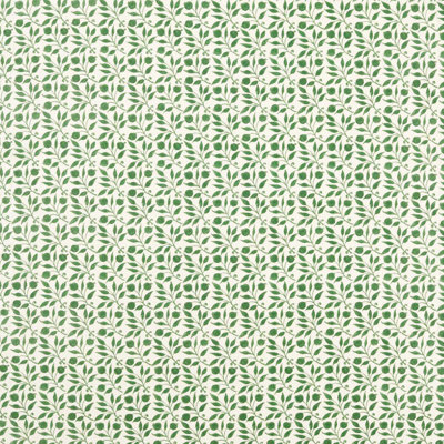 Rosehip Fabric