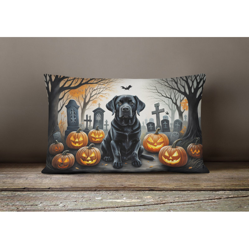 Other/No Pattern Outdoor Throw Pillow