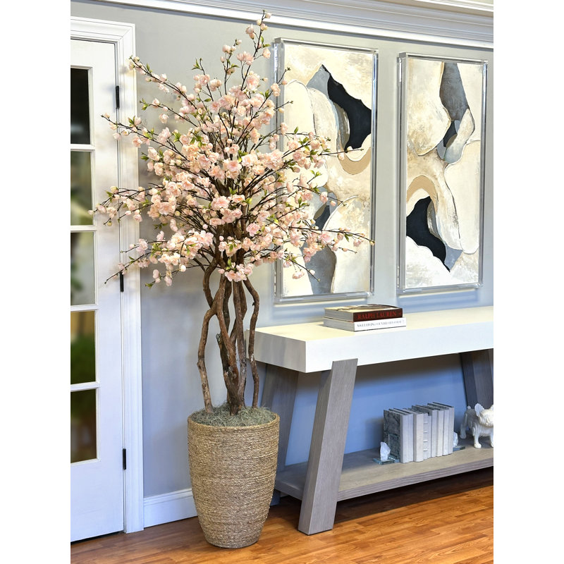 Cherry Blossom and Dragon Wood Tree in Rope Pot