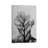 Tree Of Life by Andreas Lie - Print on Canvas-56676519-101415986
