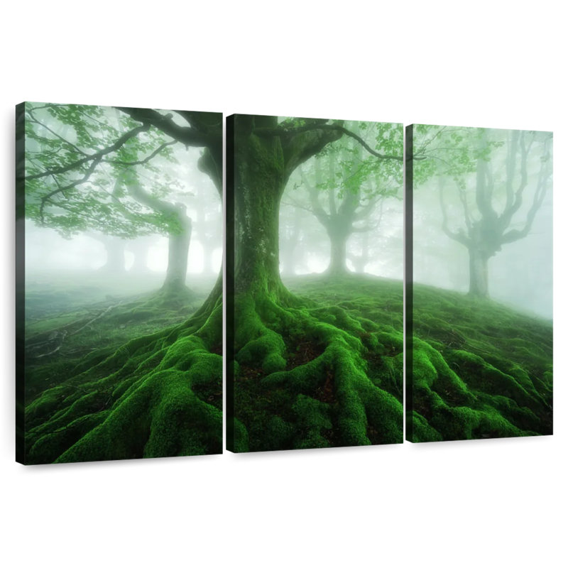 Alvord Mossy Foggy Forest, 20" H x 33" W