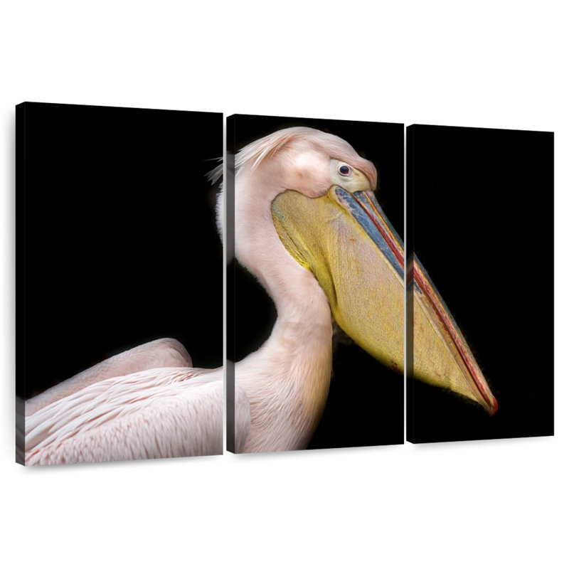 Brampt Pelican Portrait, 28" H x 45" W