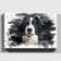 Border Collie Dog - Single Picture Frame Rectangle Print on Canvas