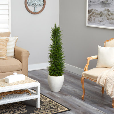 4ft. Cypress Artificial Tree in White Planter UV Resistant (Indoor/Outdoor)