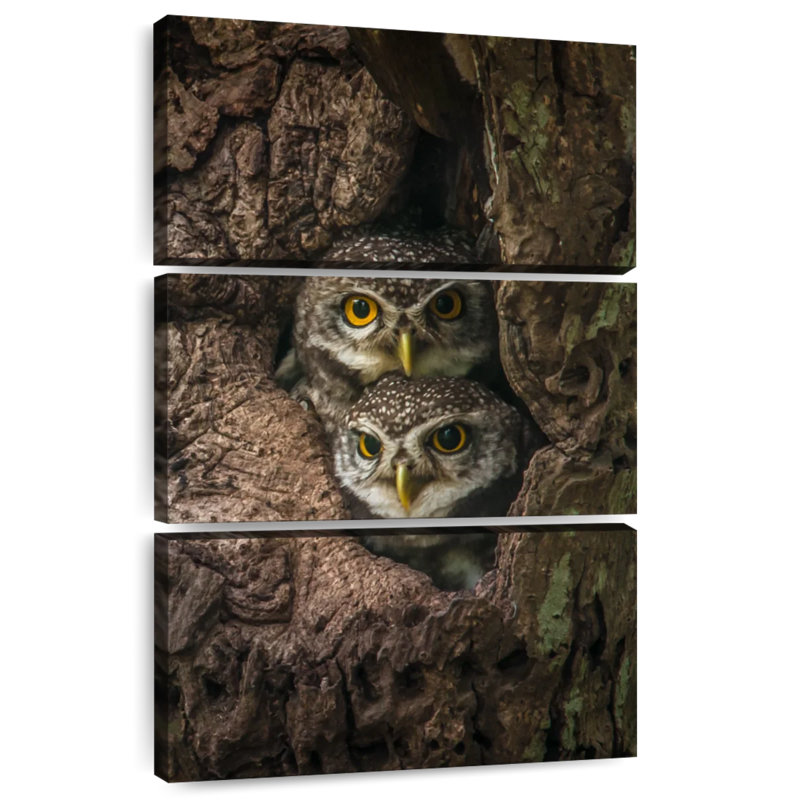 Brampt Owl Twins, 65" H x 42" W