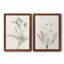 «Neutral Botanical Study VIIP», reproduction d'art encadrée - prête à être accrochée-558944171-559107759-559107760
