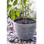 Pot à fleurs Nil-1298637456