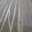 Papier peint métallique Heideliese Zebra Lines