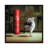 Gym Rat by Lucia Heffernan - Gallery-Wrapped Canvas Giclée on Canvas-2139904727-2139904728