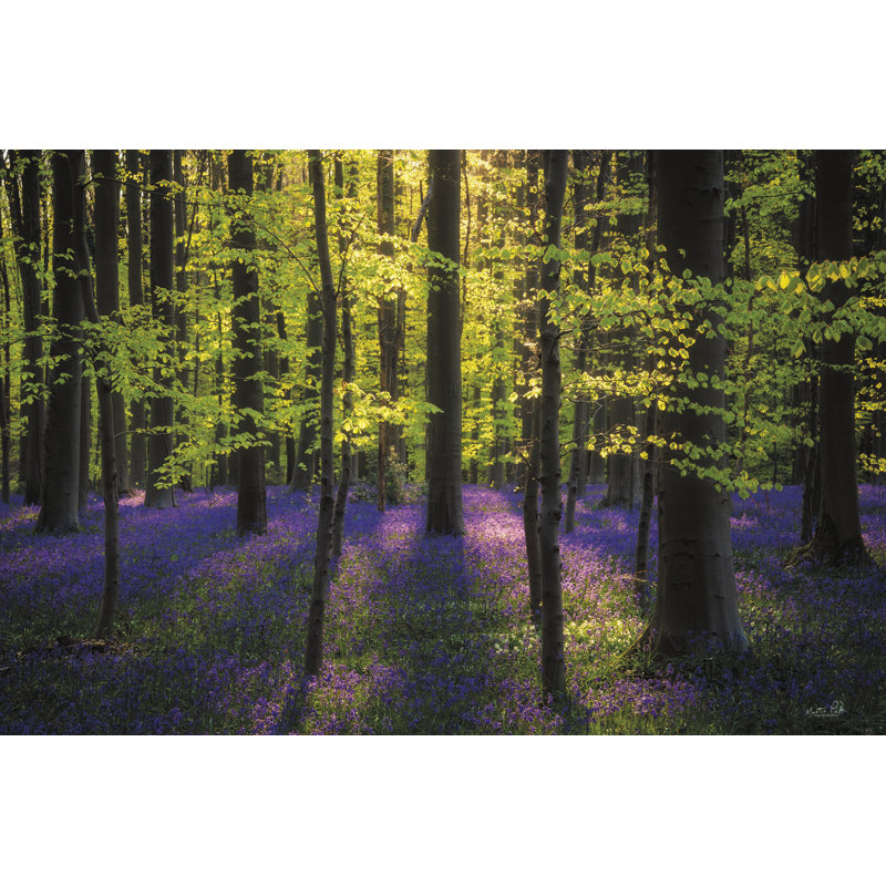 Vert frais et jacinthes des bois, H 8 po x l 12 po, Non, Toile tendue