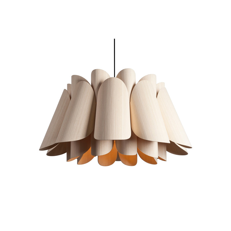 Federica 1-Light Black Pendant, Ash