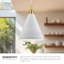 Dorothy 10-in 1 Light Pendant-64113613-64145115