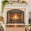 1 Panel Iron Fireplace Screen