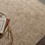 Madeleine Serapi Beige Rug-924418418